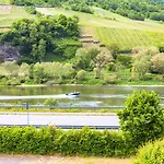 Moselgoldt * Burg (Bernkastel-Wittlich)
