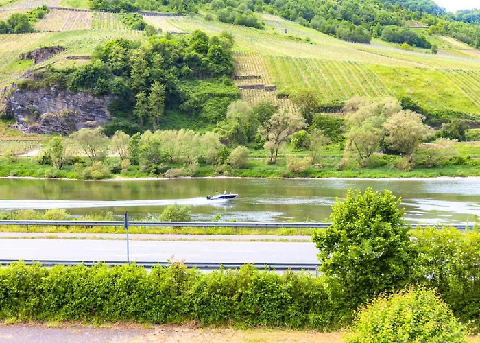 Moselgoldt * Burg (Bernkastel-Wittlich)